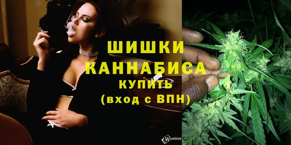 мдпв Касимов